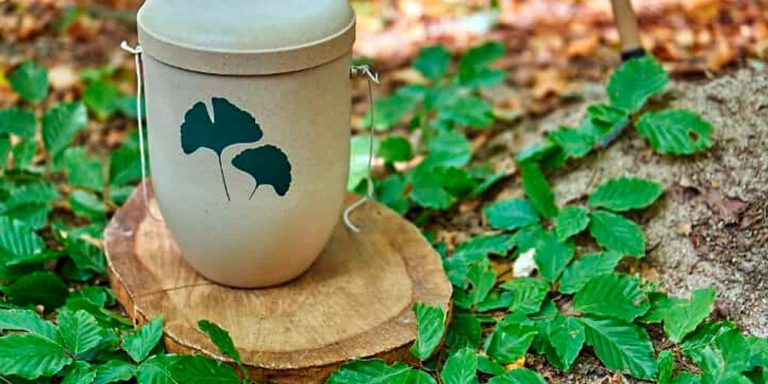 Qué son las urnas biodegradables